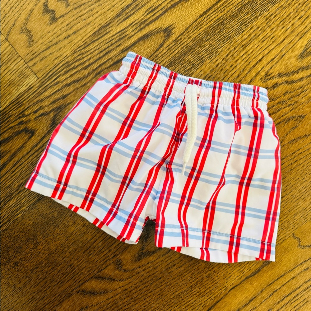 Red and Blue Plaid Shorts